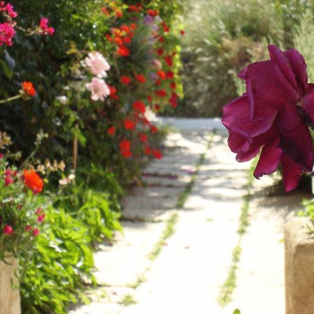 Creta Sun Hotel Studios Agia Pelagia  Extérieur photo